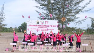 Ada 167.104 Hektar Lahan Kritis di Kepulauan Babel