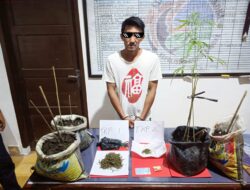 3 jam Sat ResNarkoba Polres Bangka Tangkap Pelaku Pengedara Narkotik Jenis Ganja dan Shabu