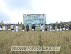 Kunjungi Desa Petaling Jaya, Wamentan RI Ajak Petani Berinovasi Kelola Pertanian
