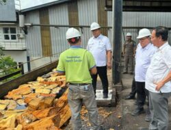 Kunjungi Pabrik Sagu PT BAA, Pj Bupati Bangka Ajak Masyarakat Tanam Pohon Rumbia