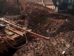 Illegal Mining  Di Desa Perlang Diduga Garap Hutan Kawasan (HP)