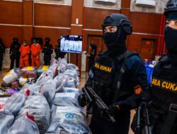 BNN BEA Dan Cukai Berhasil Ungkap Kasus Penyelundupan Ganja Thailand Jaringan Sidikat Narkotika Internasional