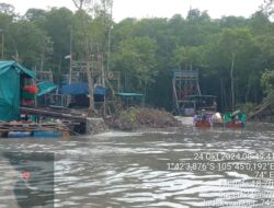 Mangrove Dirusak, Fery Afrianto Akan Turun Ke Tambang Di Sungai Rumpang