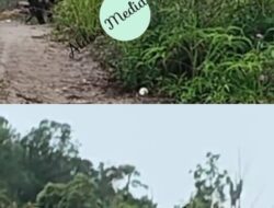 Tambang Ilegal di Hutan HP Menggunakan Dua Ekskavator