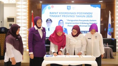 Tidak Hanya Urus Kesehatan, Posyandu Tangani 5 Bidang Pelayanan Lainnya